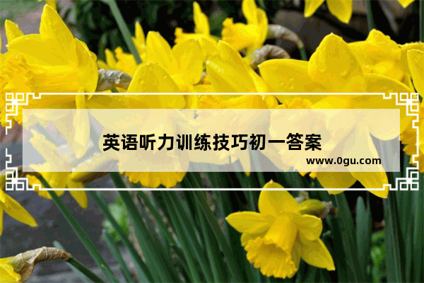 英语听力训练技巧初一答案