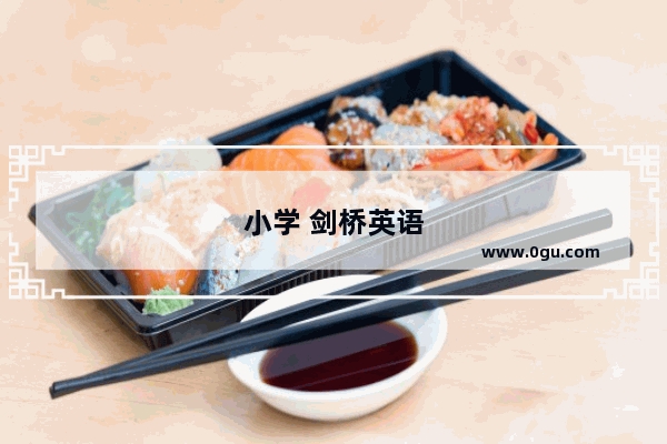 小学 剑桥英语