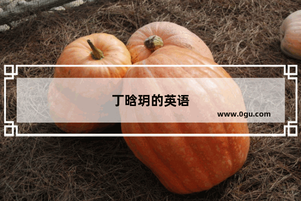 丁晗玥的英语