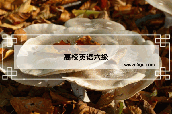 高校英语六级