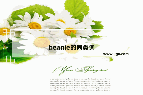 beanie的同类词