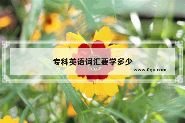 专科英语词汇要学多少
