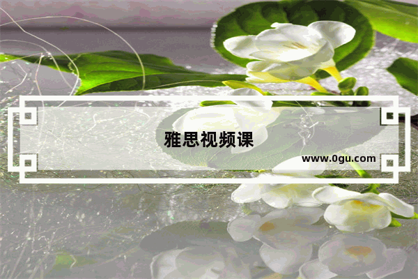 雅思视频课
