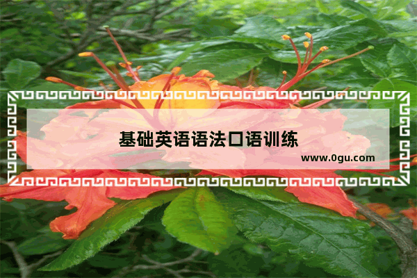 基础英语语法口语训练