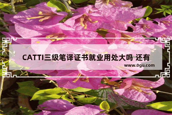 CATTI三级笔译证书就业用处大吗 还有BEC中级 这些含金量都高吗