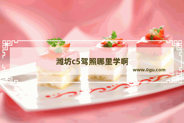 潍坊c5驾照哪里学啊