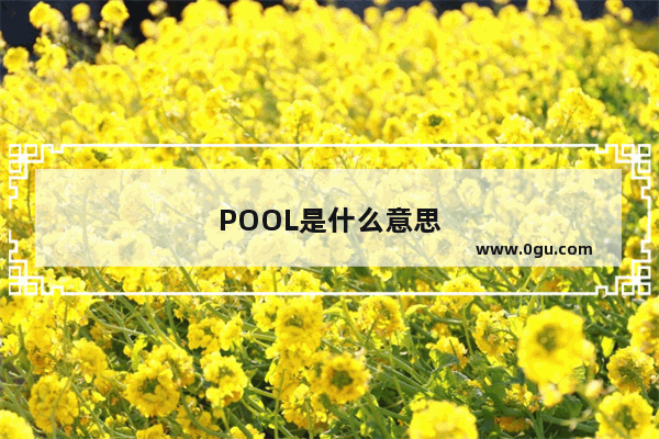 POOL是什么意思