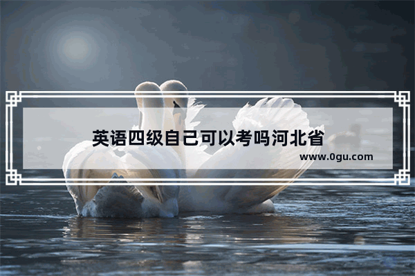 英语四级自己可以考吗河北省