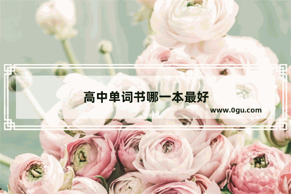 高中单词书哪一本最好