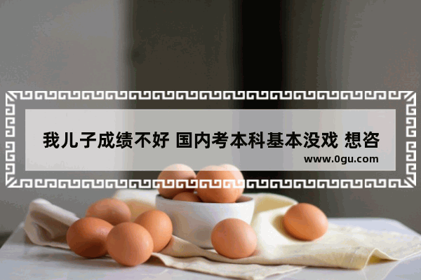 我儿子成绩不好 国内考本科基本没戏 想咨询出国留学 该怎么选择学校
