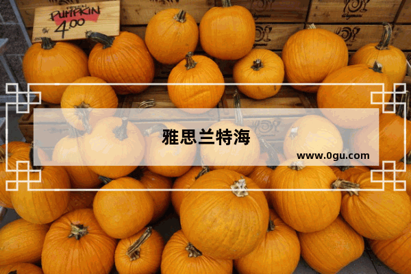 雅思兰特海