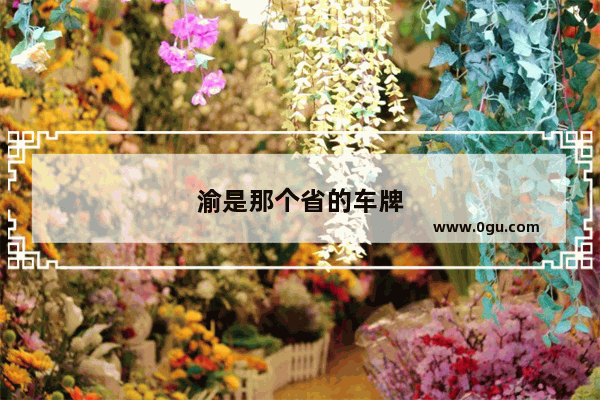 渝是那个省的车牌