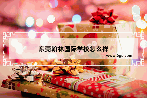 东莞翰林国际学校怎么样