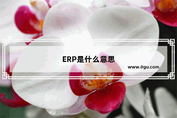 ERP是什么意思