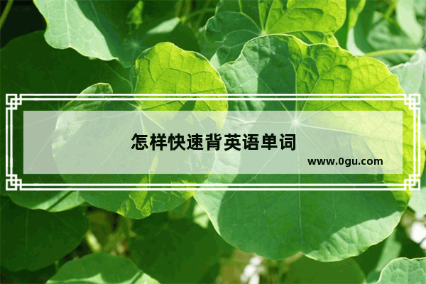 怎样快速背英语单词