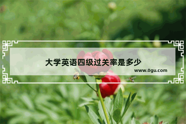 大学英语四级过关率是多少