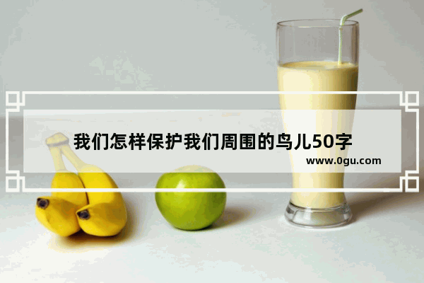 我们怎样保护我们周围的鸟儿50字
