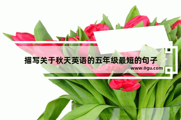 描写关于秋天英语的五年级最短的句子