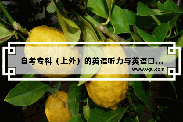 自考专科（上外）的英语听力与英语口语是在什么时候考的