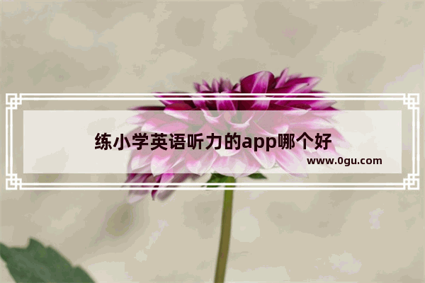 练小学英语听力的app哪个好