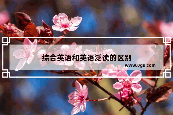 综合英语和英语泛读的区别