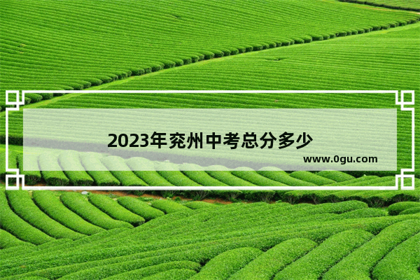 2023年兖州中考总分多少