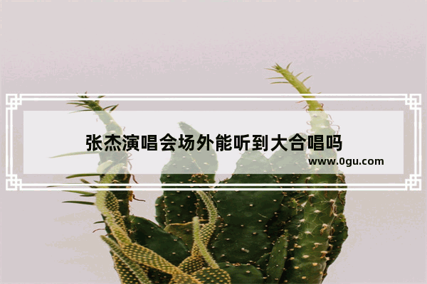 张杰演唱会场外能听到大合唱吗