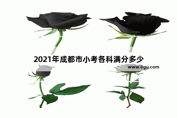 2021年成都市小考各科满分多少
