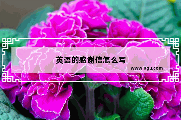 英语的感谢信怎么写