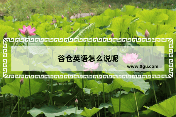 谷仓英语怎么说呢