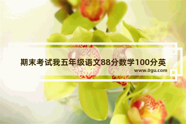 期末考试我五年级语文88分数学100分英语97分 算好吗