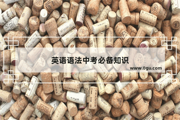 英语语法中考必备知识