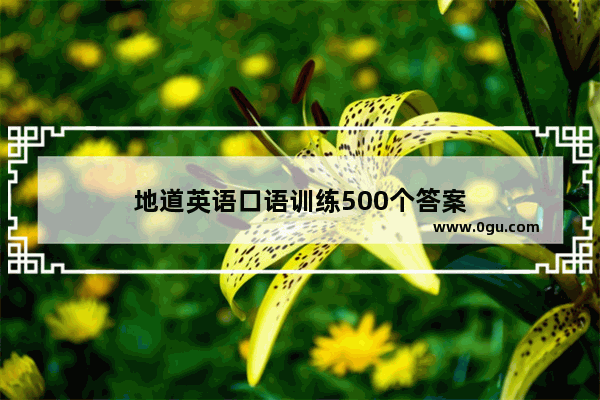 地道英语口语训练500个答案