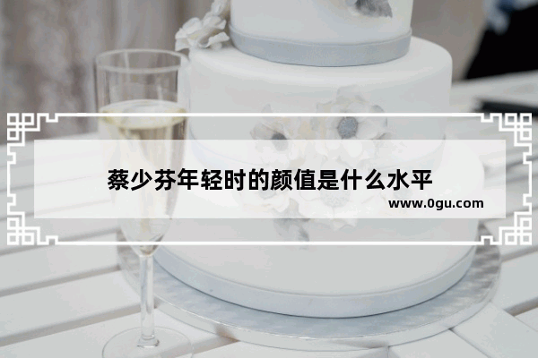 蔡少芬年轻时的颜值是什么水平