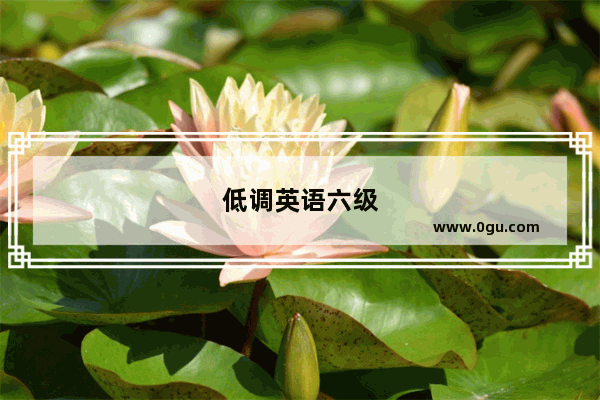 低调英语六级