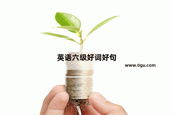 英语六级好词好句