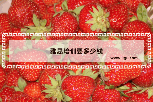 雅思培训要多少钱
