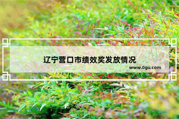 辽宁营口市绩效奖发放情况