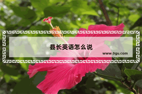 县长英语怎么说