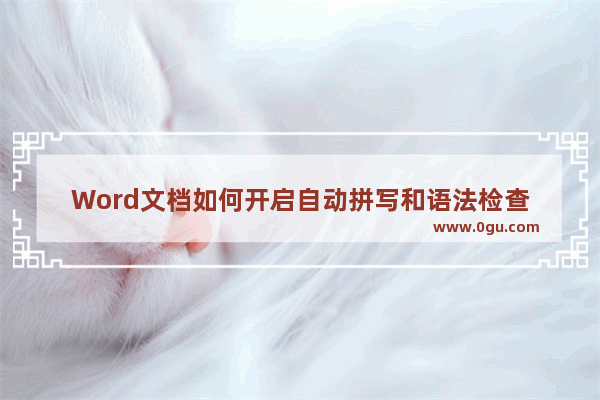 Word文档如何开启自动拼写和语法检查