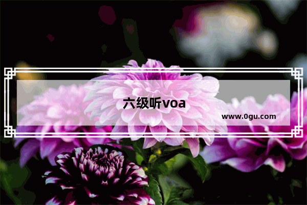六级听voa