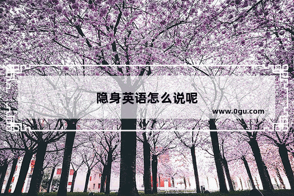 隐身英语怎么说呢