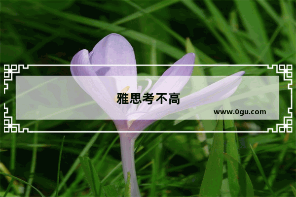 雅思考不高