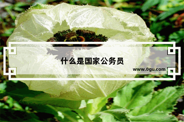 什么是国家公务员