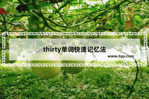 thirty单词快速记忆法