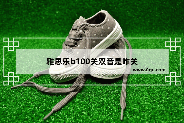 雅思乐b100关双音是咋关