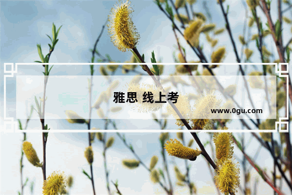 雅思 线上考