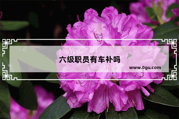 六级职员有车补吗
