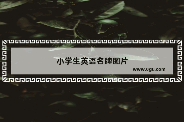 小学生英语名牌图片