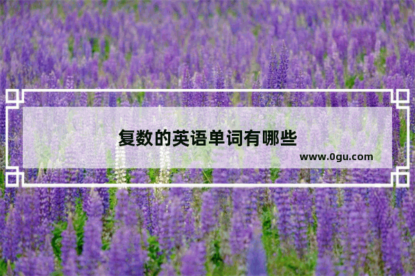 复数的英语单词有哪些